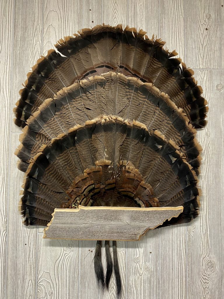 Tennessee State Turkey Fan Display Plaque Custom Outdoor Advantage