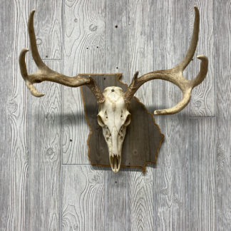 Georgia Deer European Barnwood Panel