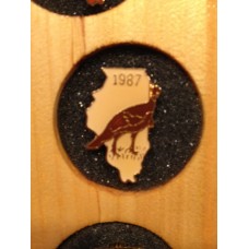 Illinois Turkey Pin 1987