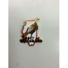 Illinois Turkey pin 2006