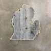 Michigan State European Panel Barnwood