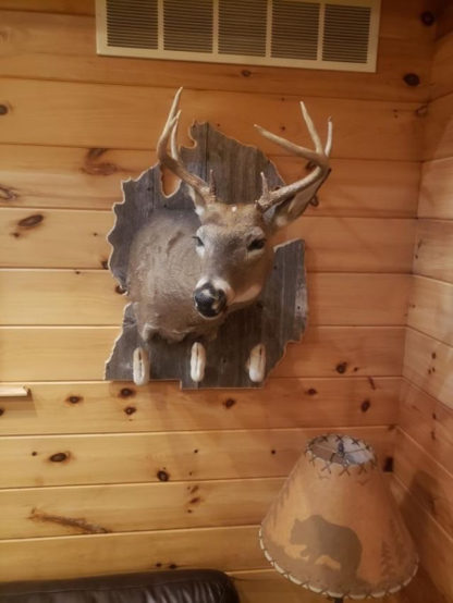 Michigan State Deer Shoulder Mount Panel