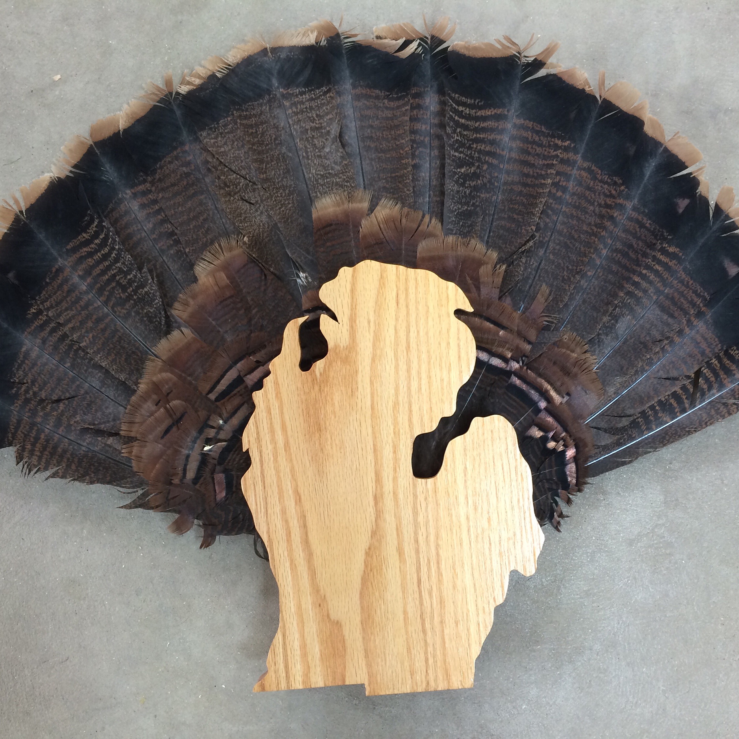 Michigan Turkey Fan & Beard Display Plaque Custom Outdoor Advantage