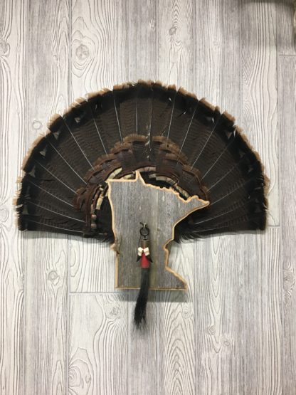 Minnesota State Turkey Tail Fan Panel Mount Barnwood