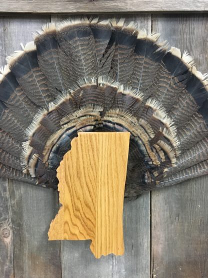 Mississippi Turkey Fan Display Plaque