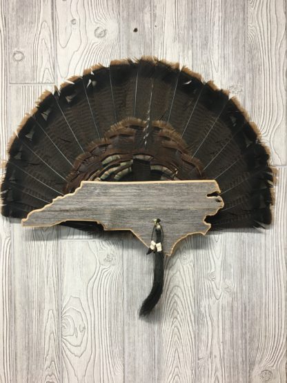 North Carolina Turkey Fan & Beard Mount Display Plaque
