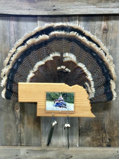 Nebraska Turkey Fan Display