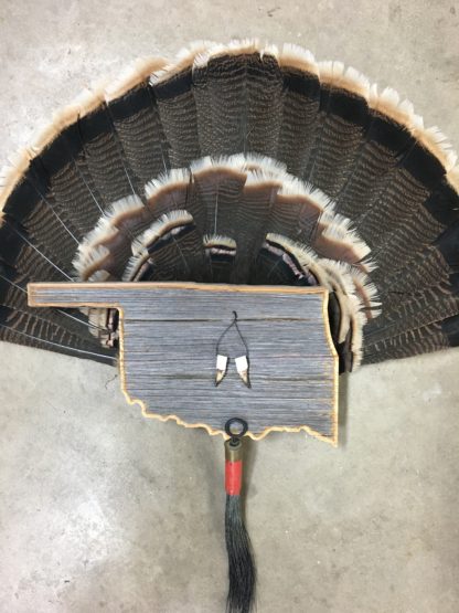 Oklahoma Turkey Tail Fan Display Barnwood