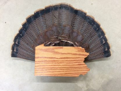 Pennsylvania Turkey Fan & Beard Display Plaque