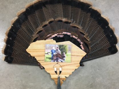 South Carolina Turkey Fan Display Plaque