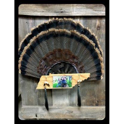 Tennessee State Turkey Fan Display Plaque
