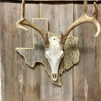Texas State Deer European Panel Barnwood