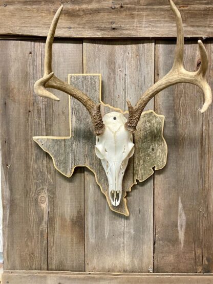 Texas State Deer European Panel Barnwood