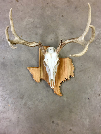 Texas State Deer European Oak Panel