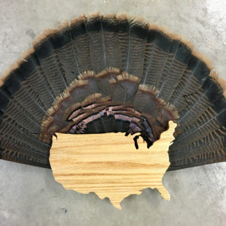 USA Turkey Fan Display Panel Oak