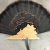 Virginia Turkey Tail & Beard Display Mount Plaque