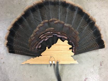 Virginia Turkey Tail & Beard Display Mount Plaque
