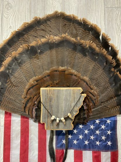 Arkansas Turkey Tail Fan & Beard Display Mount Plaque