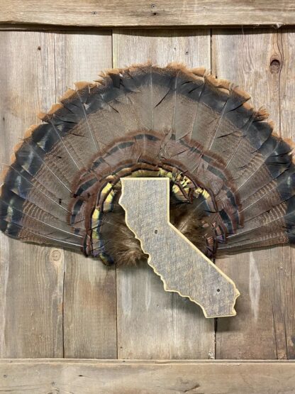 California Turkey Fan & Beard Mount Display Plaque