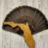 Florida Turkey Fan Display Plaque