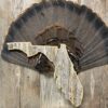 Florida Turkey Fan Display Plaque
