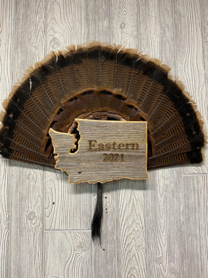 Washington Turkey Fan & Beard Display Plaque Barnwood