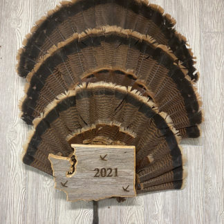 Washington Turkey Fan & Beard Display Plaque Barnwood