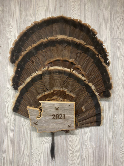 Washington Turkey Fan & Beard Display Plaque Barnwood