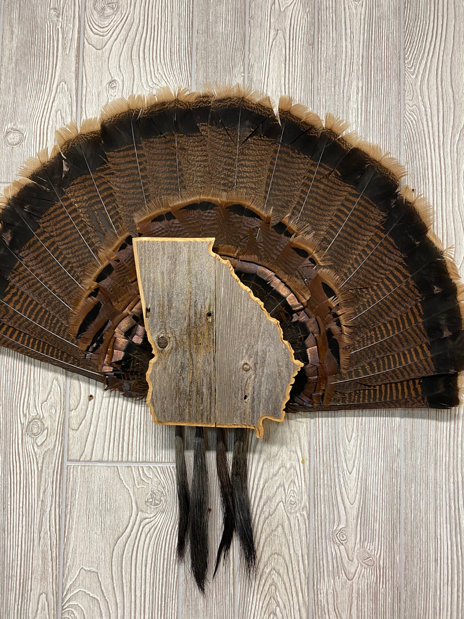 Turkey Fan Beard Mount Plaque Custom Outdoor Advantage