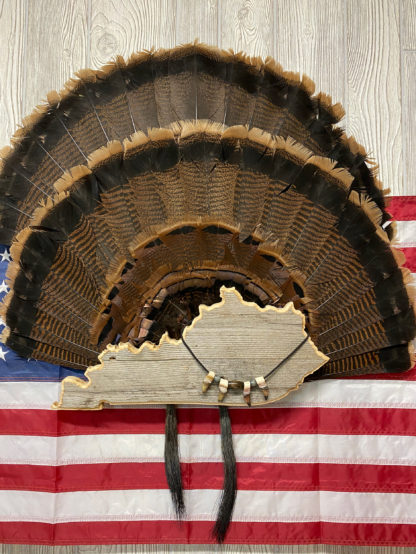 Kentucky Turkey Fan & Beard Display Mount Plaque