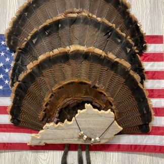 Kentucky Turkey Fan & Beard Display Mount Plaque