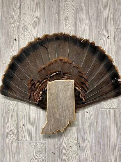 Indiana Turkey Fan & Beard Display Plaque