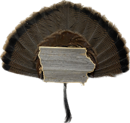 Iowa Turkey Fan Tail & Beard Display Mount Plaque