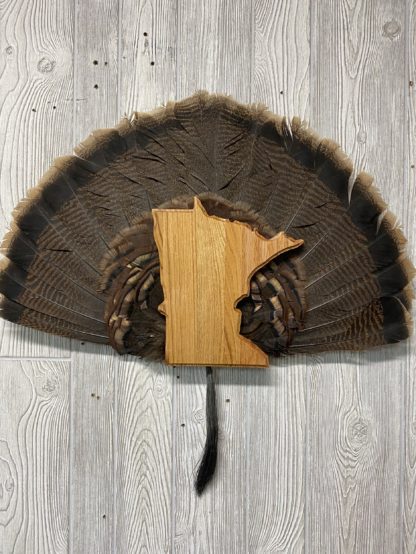 Minnesota State Turkey Tail Fan Panel Mount