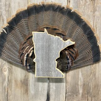 Minnesota State Turkey Tail Fan Panel Mount Barnwood