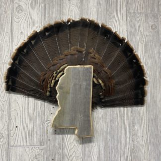 Mississippi Turkey Fan Display Plaque