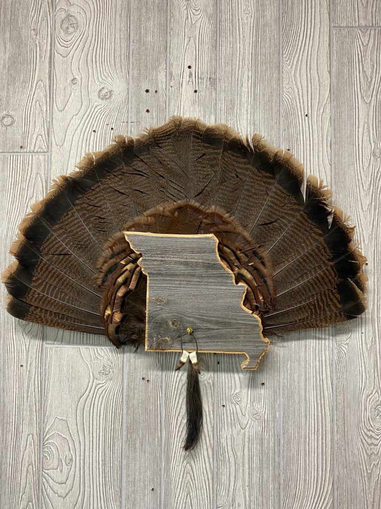 Missouri Turkey Fan & Beard Display Plaque Custom Outdoor Advantage