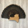 New York State Turkey Tail Fan Display Plaque