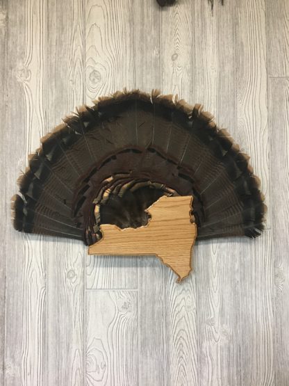 New York State Turkey Tail Fan Display Plaque