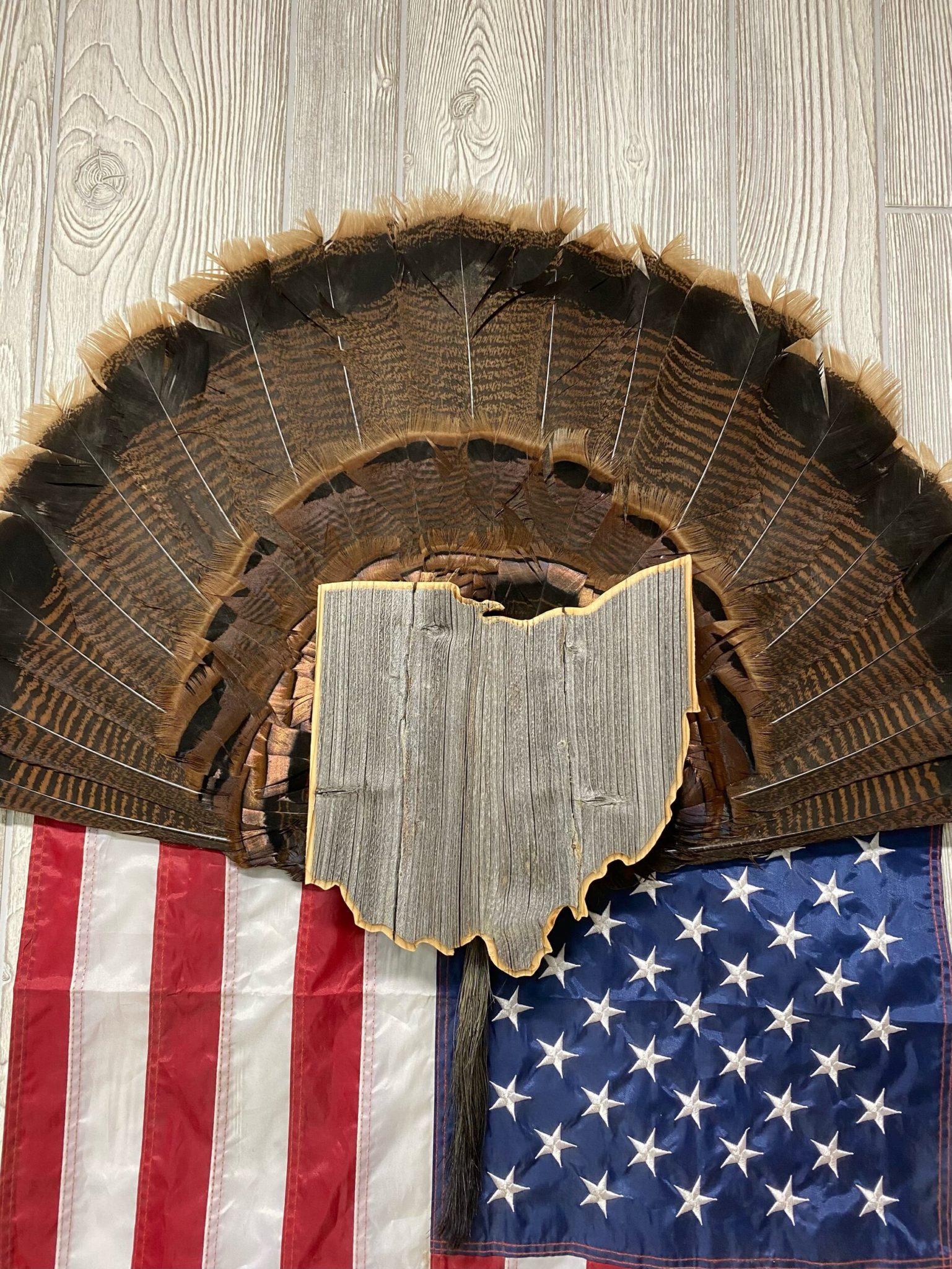 Ohio State Turkey Fan Mount Plaque Custom Outdoor Advantage