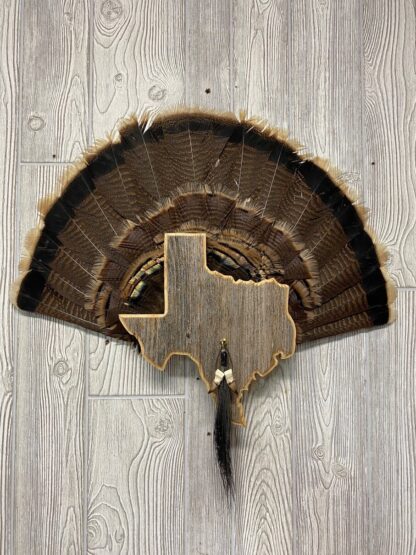 Texas Turkey Fan Display Plaque