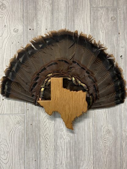 Texas Turkey Fan Display Plaque