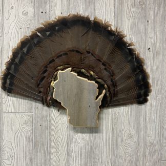 Wisconsin Turkey Tail & Beard Display Mount Plaque