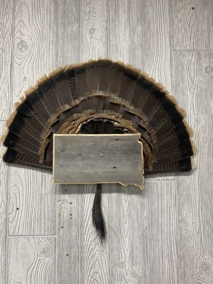 South Dakota Turkey Fan Display Plaque