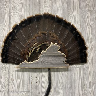 Virginia Turkey Fan Display Plaque