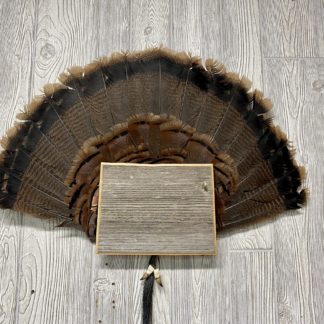 Wyoming Turkey Fan Display Plaque