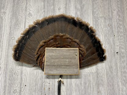 Wyoming Turkey Fan Display Plaque