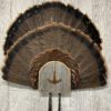 Turkey Fan Display Plaque w Turkey Tracks Engraving Barnwood