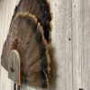 Turkey Fan Display Plaque w Turkey Tracks Engraving Barnwood