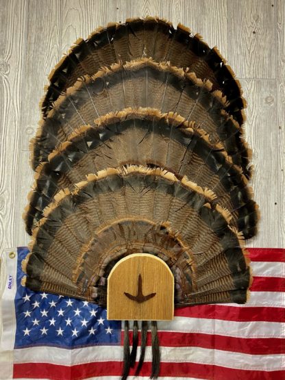 8x8 Reclaimed Wood Turkey Fan Display Plaque